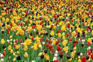 《忍者神龟：施莱德的复仇》国内由Gamera发行 支持简体中文