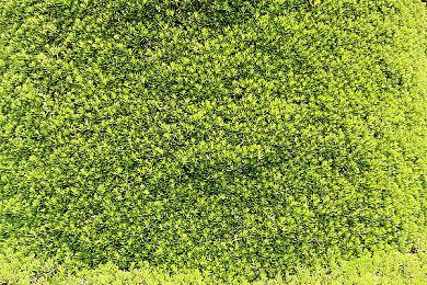 Xbox发布会：光荣公布《卧龙：失落王朝》 2023年发售